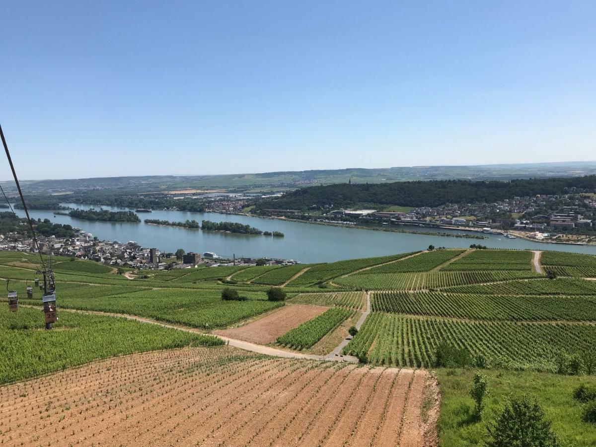 Ruedesheimer Wohlfuehloase Rüdesheim am Rhein Dış mekan fotoğraf